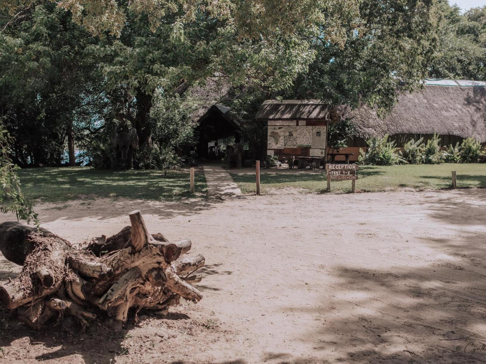 Ndhovu Safari Lodge Mahango Extérieur photo